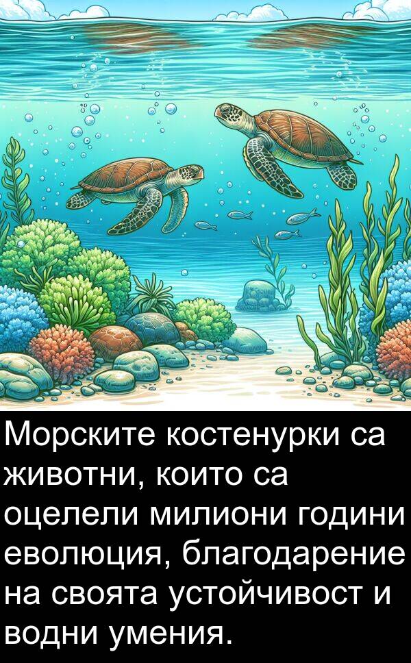 еволюция: Морските костенурки са животни, които са оцелели милиони години еволюция, благодарение на своята устойчивост и водни умения.