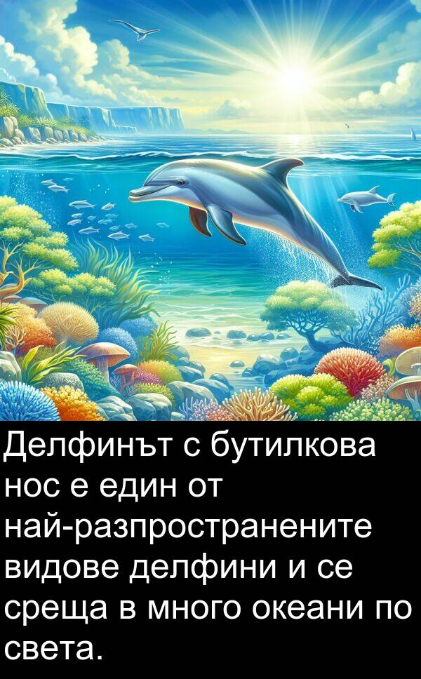 океани: Делфинът с бутилкова нос е един от най-разпространените видове делфини и се среща в много океани по света.