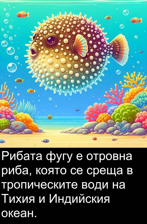 отровна: Рибата фугу е отровна риба, която се среща в тропическите води на Тихия и Индийския океан.