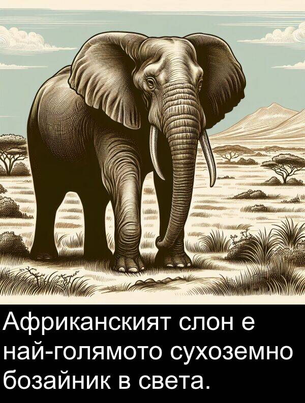 слон: Африканският слон е най-голямото сухоземно бозайник в света.