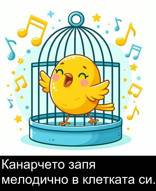 запя: Канарчето запя мелодично в клетката си.