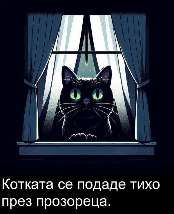 прозореца: Котката се подаде тихо през прозореца.