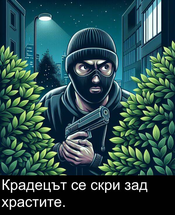 скри: Крадецът се скри зад храстите.