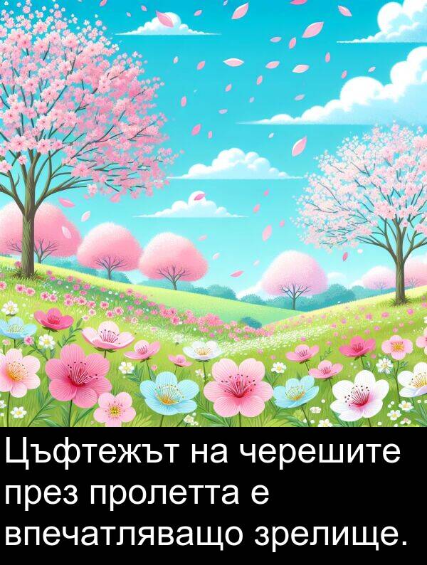 черешите: Цъфтежът на черешите през пролетта е впечатляващо зрелище.