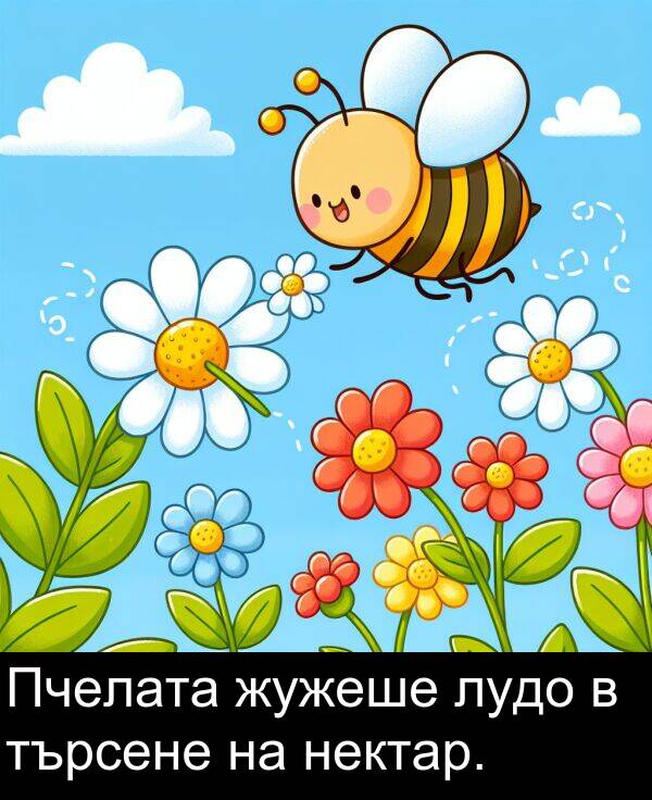 търсене: Пчелата жужеше лудо в търсене на нектар.