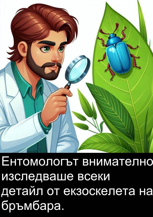 екзоскелета: Ентомологът внимателно изследваше всеки детайл от екзоскелета на бръмбара.