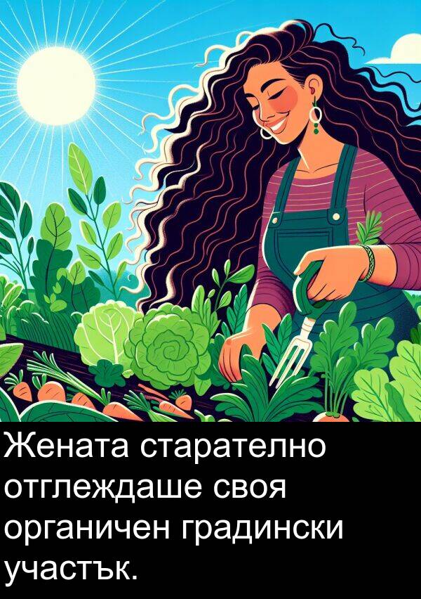 участък: Жената старателно отглеждаше своя органичен градински участък.