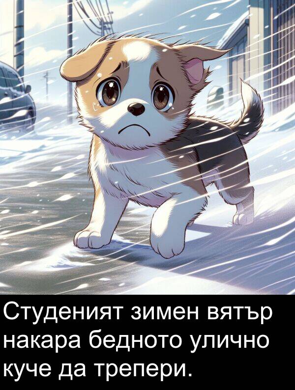 бедното: Студеният зимен вятър накара бедното улично куче да трепери.