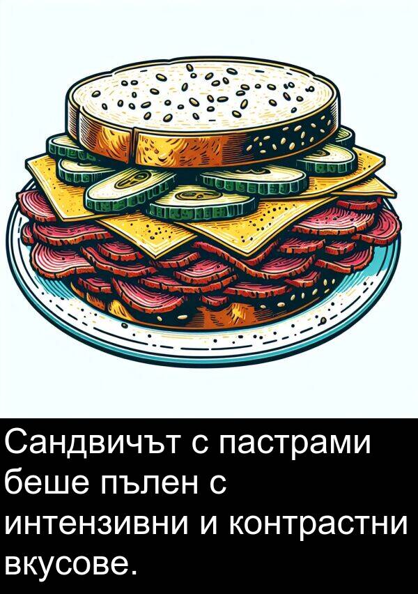 пълен: Сандвичът с пастрами беше пълен с интензивни и контрастни вкусове.
