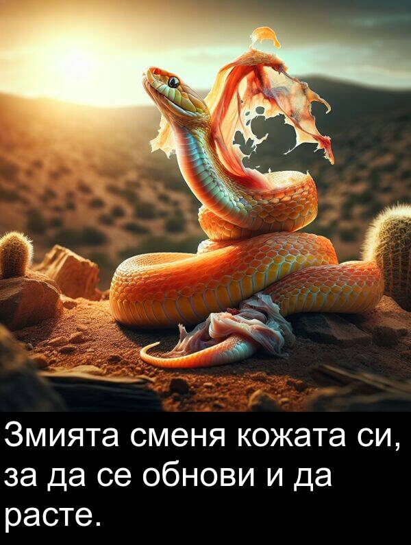 сменя: Змията сменя кожата си, за да се обнови и да расте.