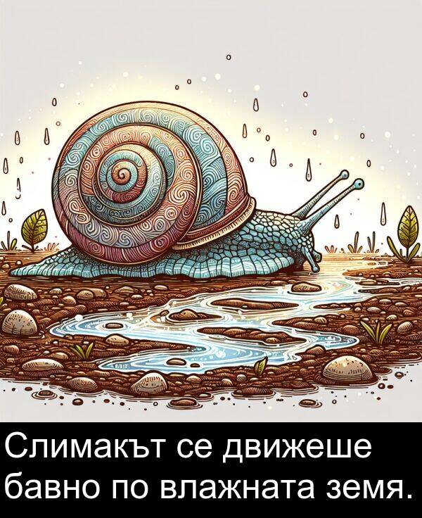 бавно: Слимакът се движеше бавно по влажната земя.