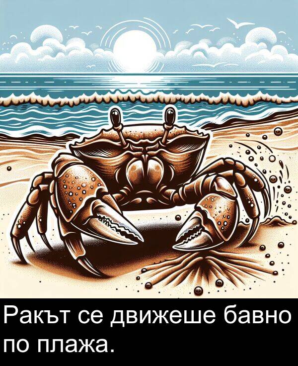 бавно: Ракът се движеше бавно по плажа.