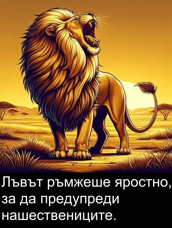 яростно: Лъвът ръмжеше яростно, за да предупреди нашествениците.