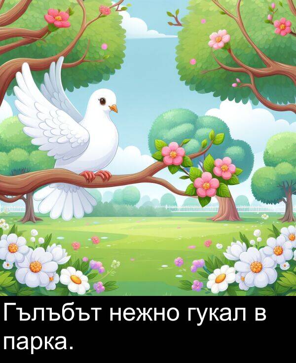 нежно: Гълъбът нежно гукал в парка.