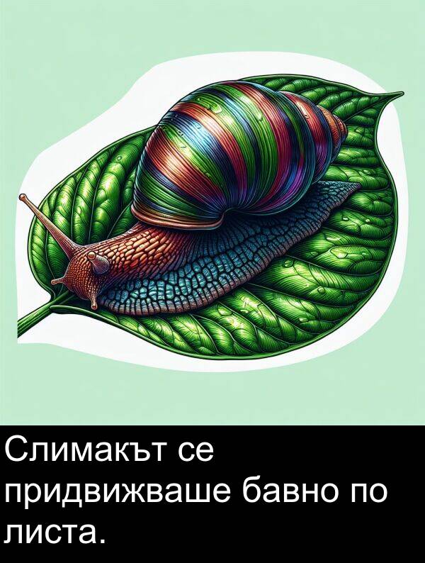 бавно: Слимакът се придвижваше бавно по листа.