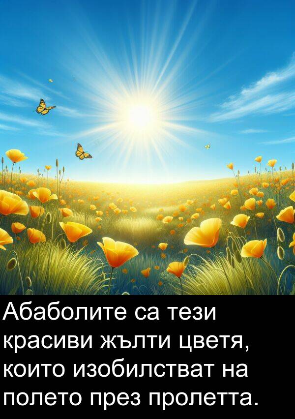 полето: Абаболите са тези красиви жълти цветя, които изобилстват на полето през пролетта.
