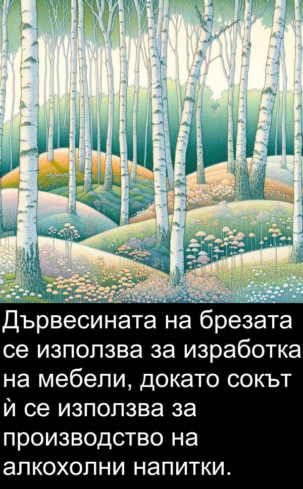 изработка: Дървесината на брезата се използва за изработка на мебели, докато сокът ѝ се използва за производство на алкохолни напитки.