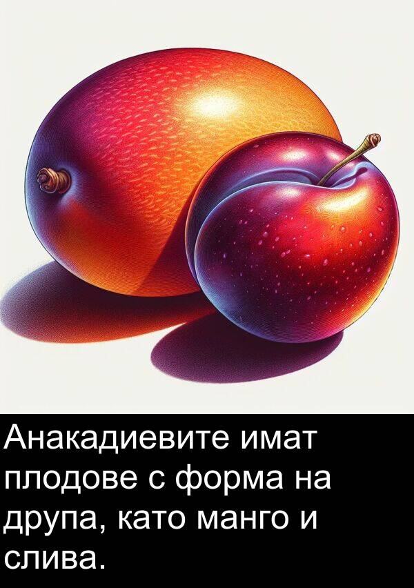 манго: Анакадиевите имат плодове с форма на друпа, като манго и слива.