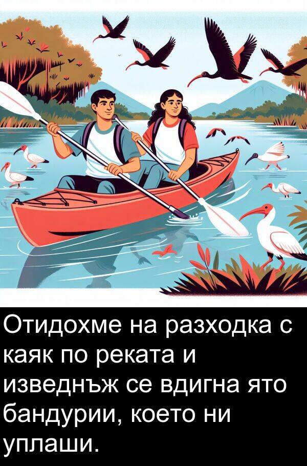 бандурии: Отидохме на разходка с каяк по реката и изведнъж се вдигна ято бандурии, което ни уплаши.