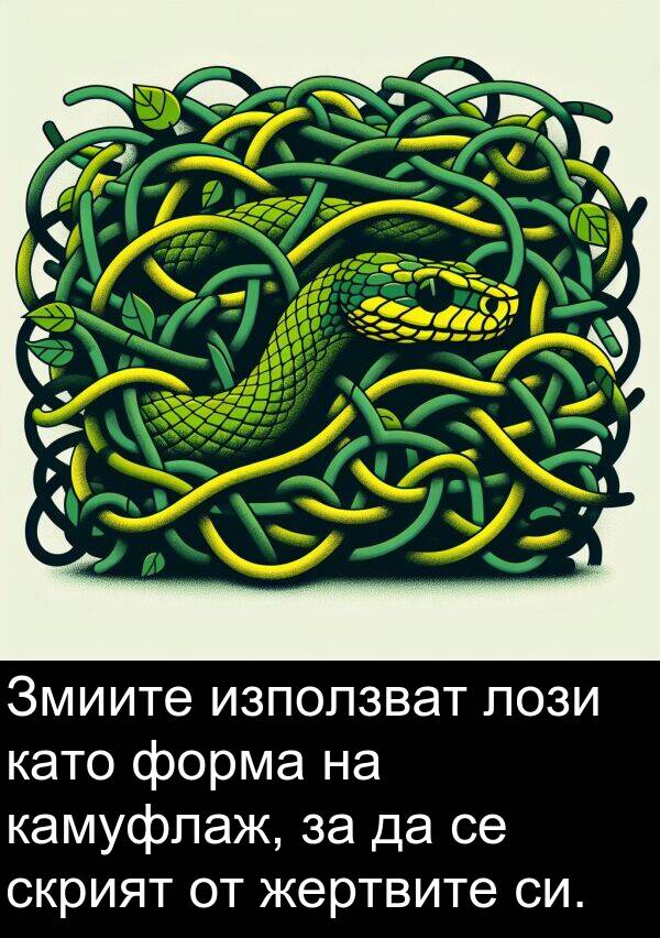 жертвите: Змиите използват лози като форма на камуфлаж, за да се скрият от жертвите си.