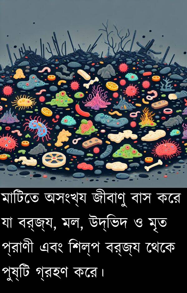 বর্জ্য: মাটিতে অসংখ্য জীবাণু বাস করে যা বর্জ্য, মল, উদ্ভিদ ও মৃত প্রাণী এবং শিল্প বর্জ্য থেকে পুষ্টি গ্রহণ করে।