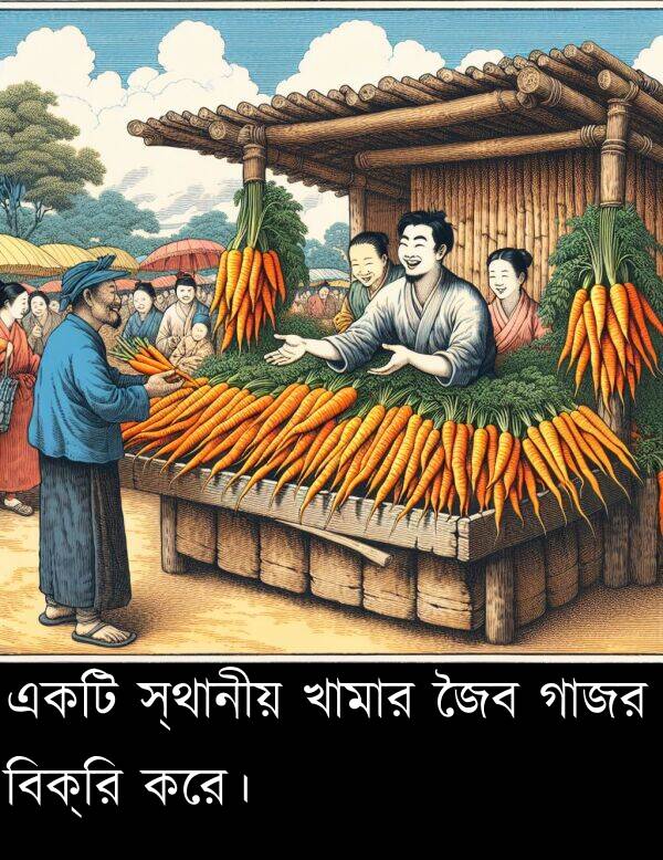 গাজর: একটি স্থানীয় খামার জৈব গাজর বিক্রি করে।