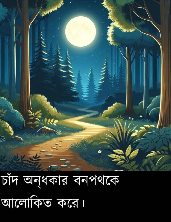 চাঁদ: চাঁদ অন্ধকার বনপথকে আলোকিত করে।