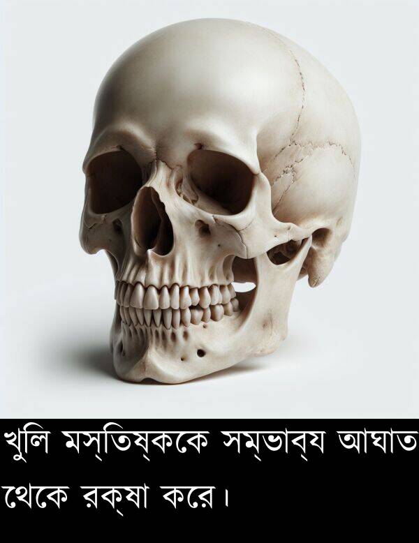 রক্ষা: খুলি মস্তিষ্ককে সম্ভাব্য আঘাত থেকে রক্ষা করে।