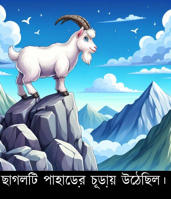 পাহাড়ের: ছাগলটি পাহাড়ের চূড়ায় উঠেছিল।