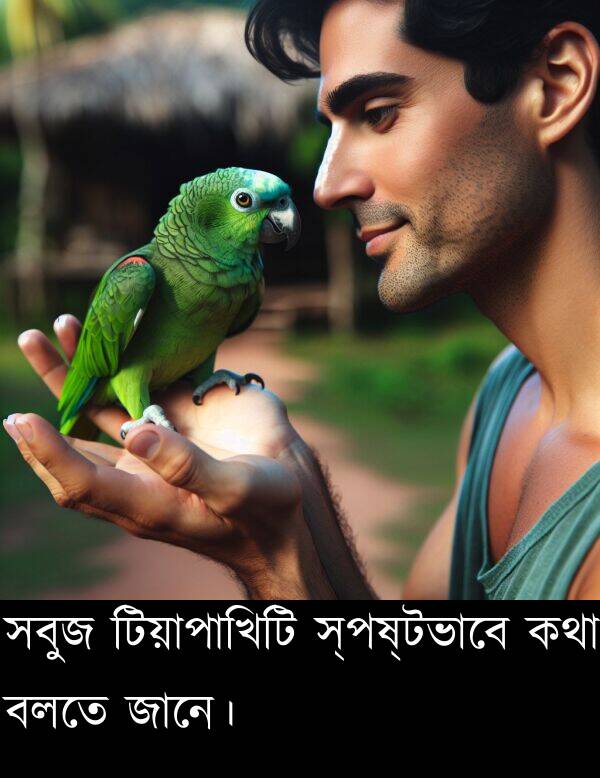 টিয়াপাখিটি: সবুজ টিয়াপাখিটি স্পষ্টভাবে কথা বলতে জানে।