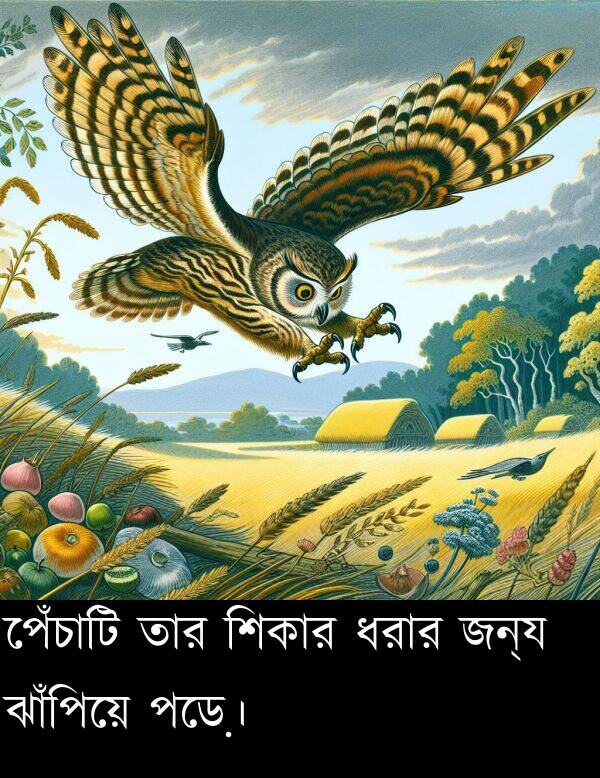 ঝাঁপিয়ে: পেঁচাটি তার শিকার ধরার জন্য ঝাঁপিয়ে পড়ে।
