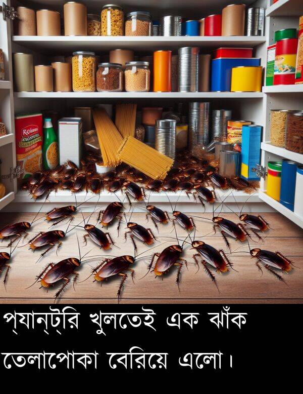 প্যান্ট্রি: প্যান্ট্রি খুলতেই এক ঝাঁক তেলাপোকা বেরিয়ে এলো।