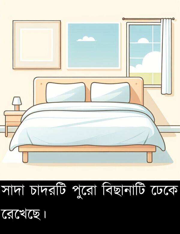 পুরো: সাদা চাদরটি পুরো বিছানাটি ঢেকে রেখেছে।