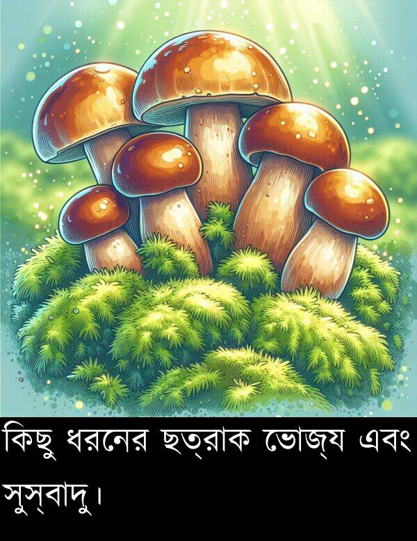 কিছু: কিছু ধরনের ছত্রাক ভোজ্য এবং সুস্বাদু।