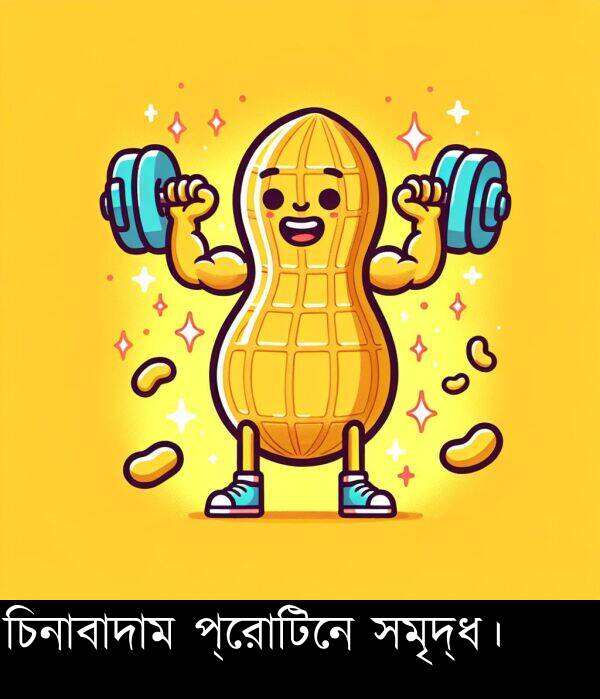 প্রোটিনে: চিনাবাদাম প্রোটিনে সমৃদ্ধ।