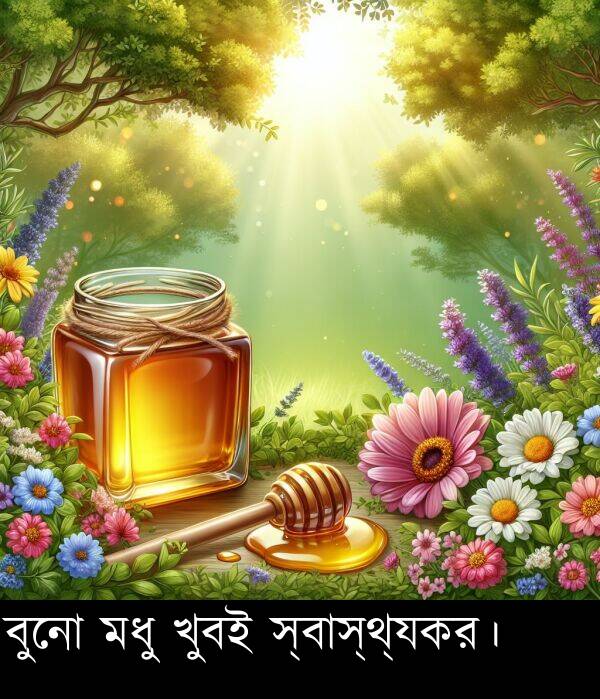বুনো: বুনো মধু খুবই স্বাস্থ্যকর।