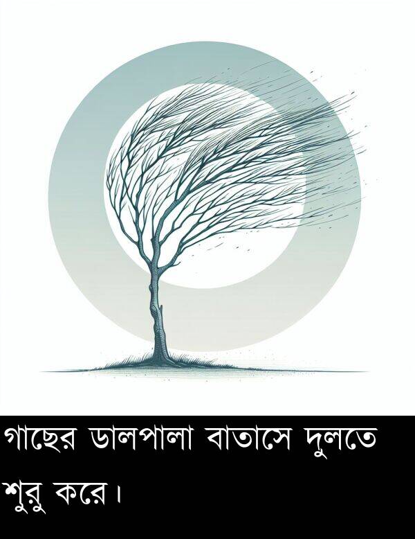 গাছের: গাছের ডালপালা বাতাসে দুলতে শুরু করে।