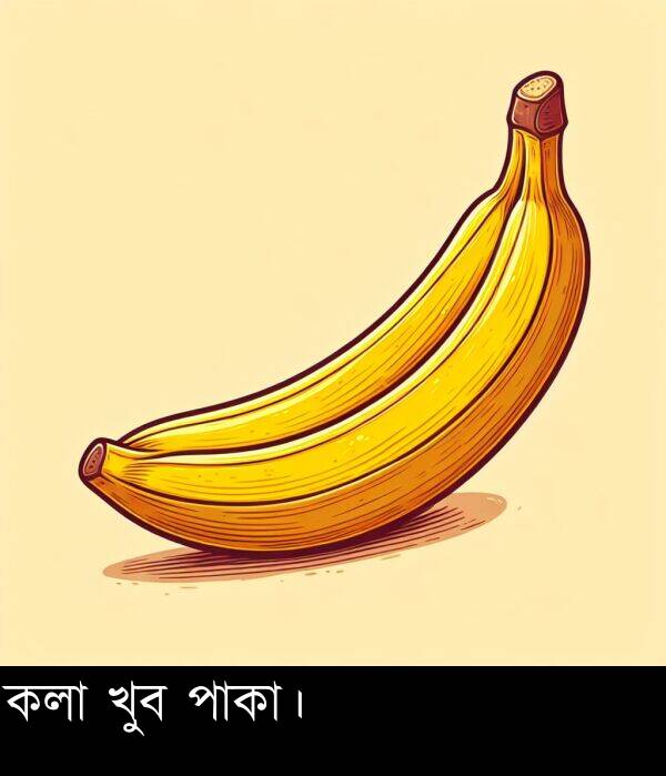 পাকা।: কলা খুব পাকা।