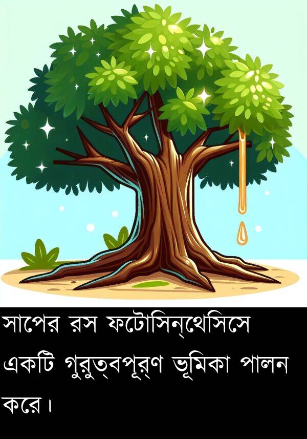 পালন: সাপের রস ফটোসিন্থেসিসে একটি গুরুত্বপূর্ণ ভূমিকা পালন করে।