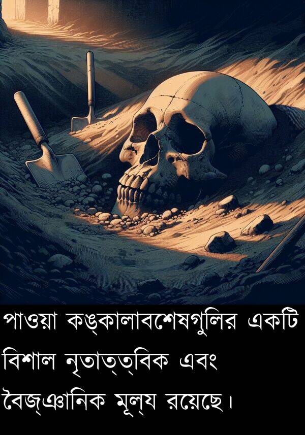 কঙ্কালাবশেষগুলির: পাওয়া কঙ্কালাবশেষগুলির একটি বিশাল নৃতাত্ত্বিক এবং বৈজ্ঞানিক মূল্য রয়েছে।