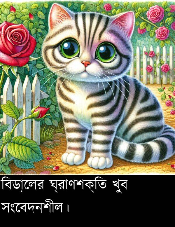 ঘ্রাণশক্তি: বিড়ালের ঘ্রাণশক্তি খুব সংবেদনশীল।