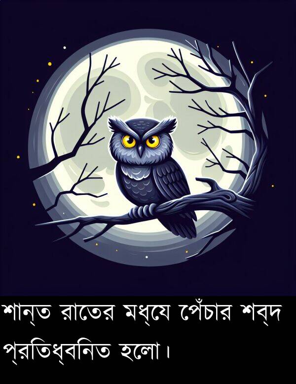 প্রতিধ্বনিত: শান্ত রাতের মধ্যে পেঁচার শব্দ প্রতিধ্বনিত হলো।