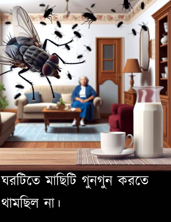 ঘরটিতে: ঘরটিতে মাছিটি গুনগুন করতে থামছিল না।