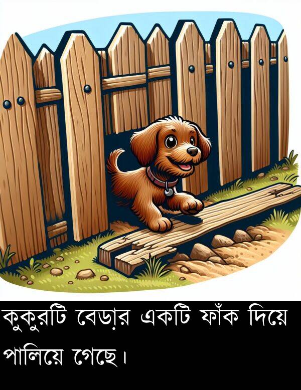 বেড়ার: কুকুরটি বেড়ার একটি ফাঁক দিয়ে পালিয়ে গেছে।