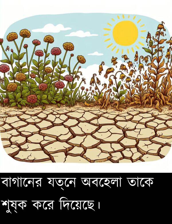 তাকে: বাগানের যত্নে অবহেলা তাকে শুষ্ক করে দিয়েছে।
