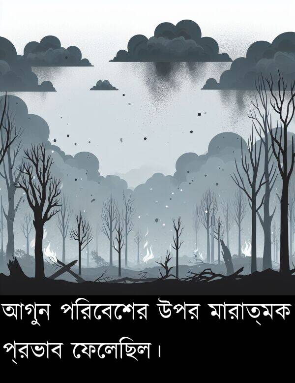 উপর: আগুন পরিবেশের উপর মারাত্মক প্রভাব ফেলেছিল।