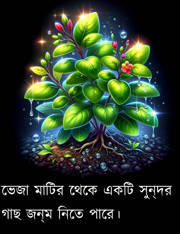 পারে।: ভেজা মাটির থেকে একটি সুন্দর গাছ জন্ম নিতে পারে।