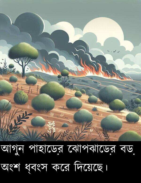 ধ্বংস: আগুন পাহাড়ের ঝোপঝাড়ের বড় অংশ ধ্বংস করে দিয়েছে।