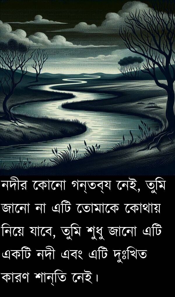তোমাকে: নদীর কোনো গন্তব্য নেই, তুমি জানো না এটি তোমাকে কোথায় নিয়ে যাবে, তুমি শুধু জানো এটি একটি নদী এবং এটি দুঃখিত কারণ শান্তি নেই।