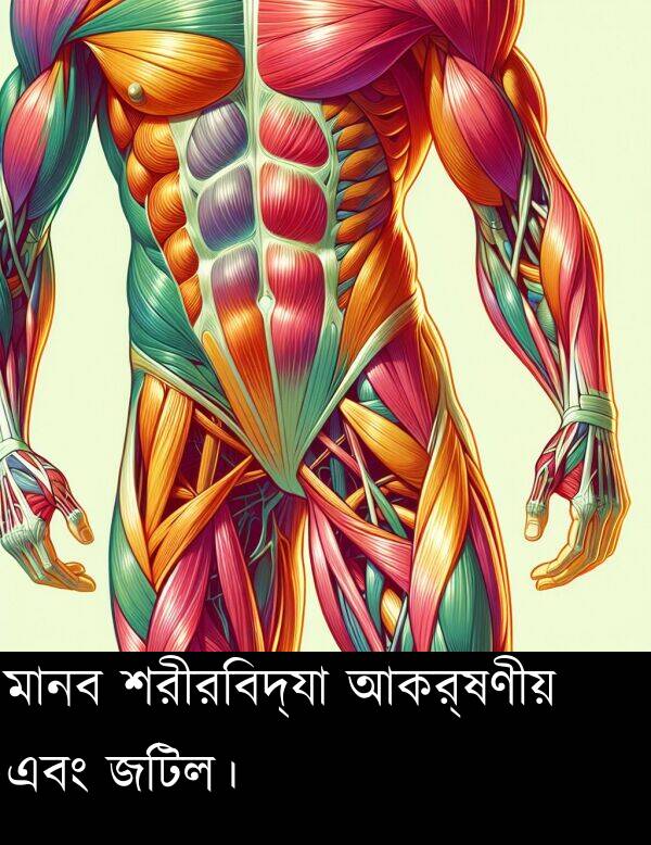 এবং: মানব শরীরবিদ্যা আকর্ষণীয় এবং জটিল।